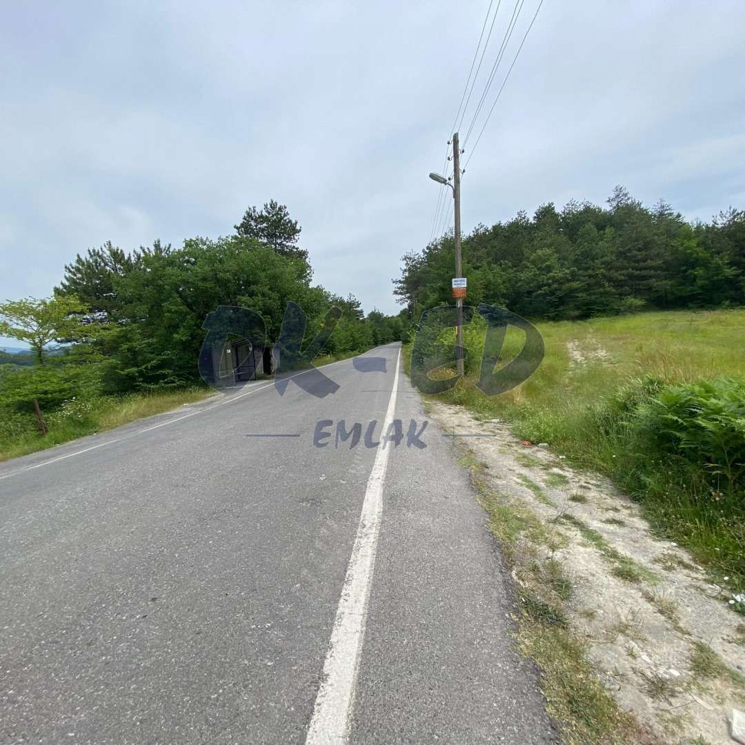 ALAPLI ALİOĞLU KÖYÜNDE DOĞA MANZARALI SATILIK ARSA