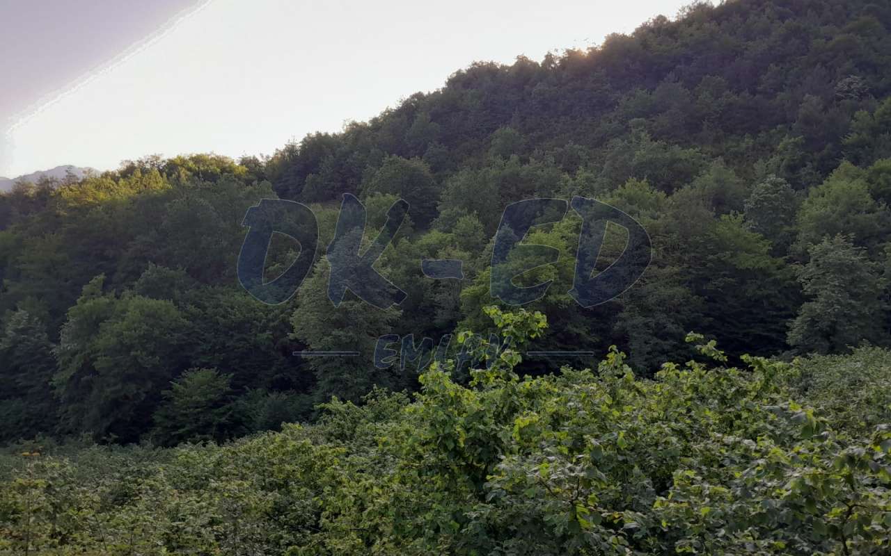 BAŞÖREN KÖYÜNDE SATILIK ARSA
