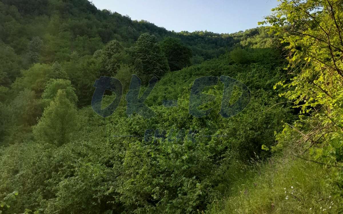 BAŞÖREN KÖYÜNDE SATILIK ARSA