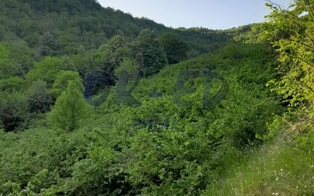 BAŞÖREN KÖYÜNDE SATILIK ARSA