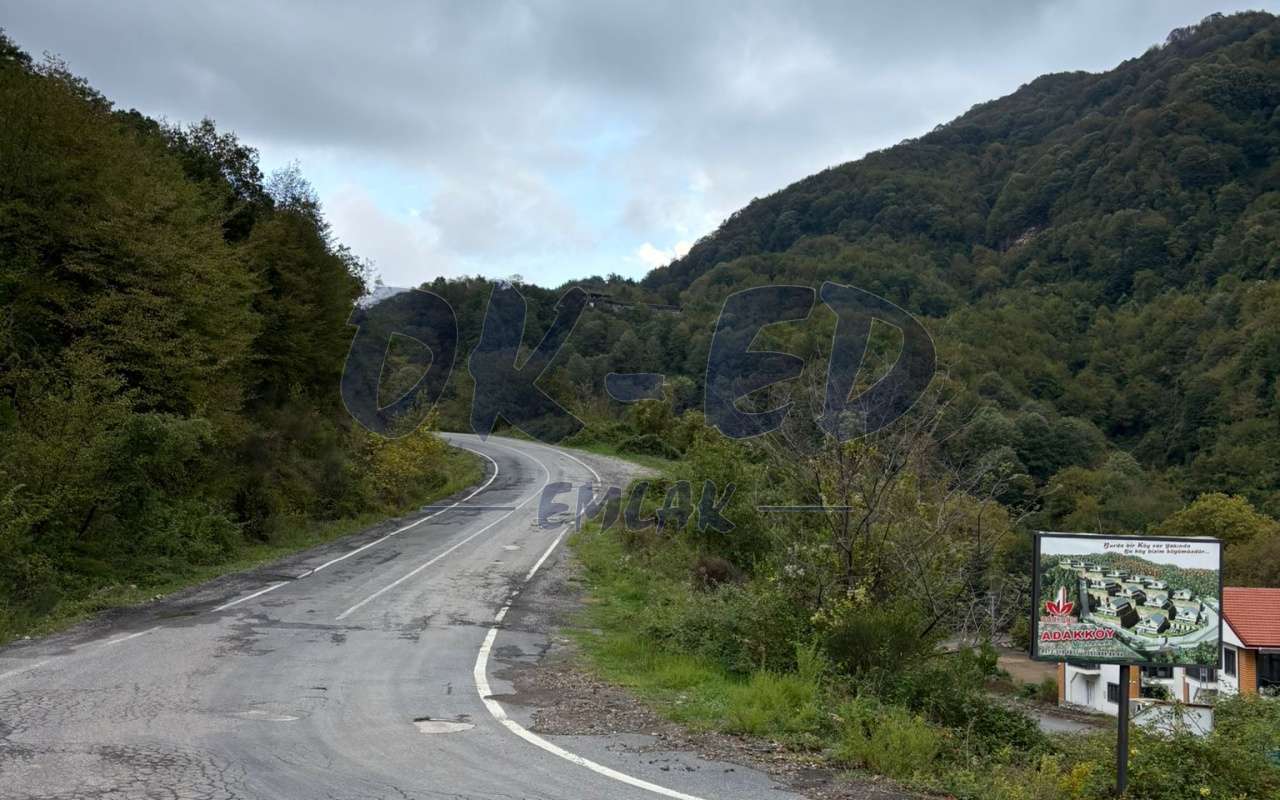 BURUNCUK KÖYÜNDE SATILIK ARSA