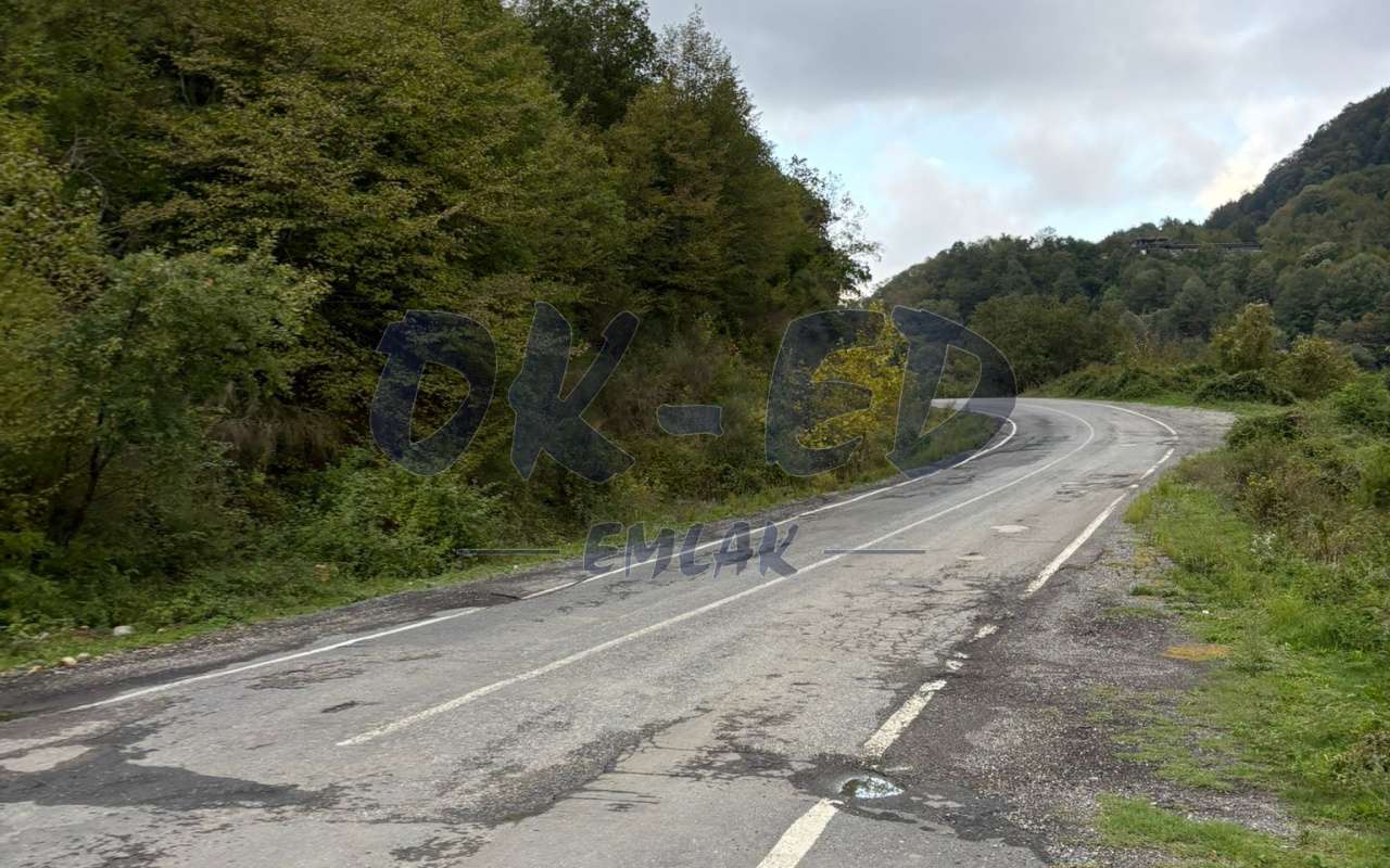 BURUNCUK KÖYÜNDE SATILIK ARSA