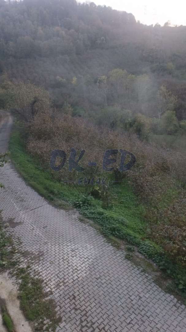 Cemaller Köyünde Satılık Arsa