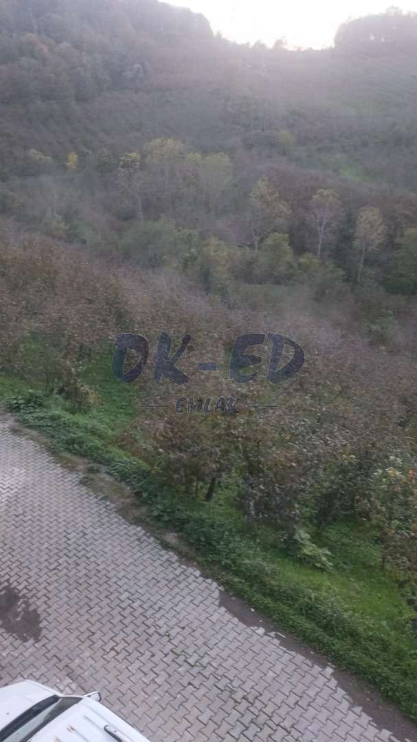 Cemaller Köyünde Satılık Arsa