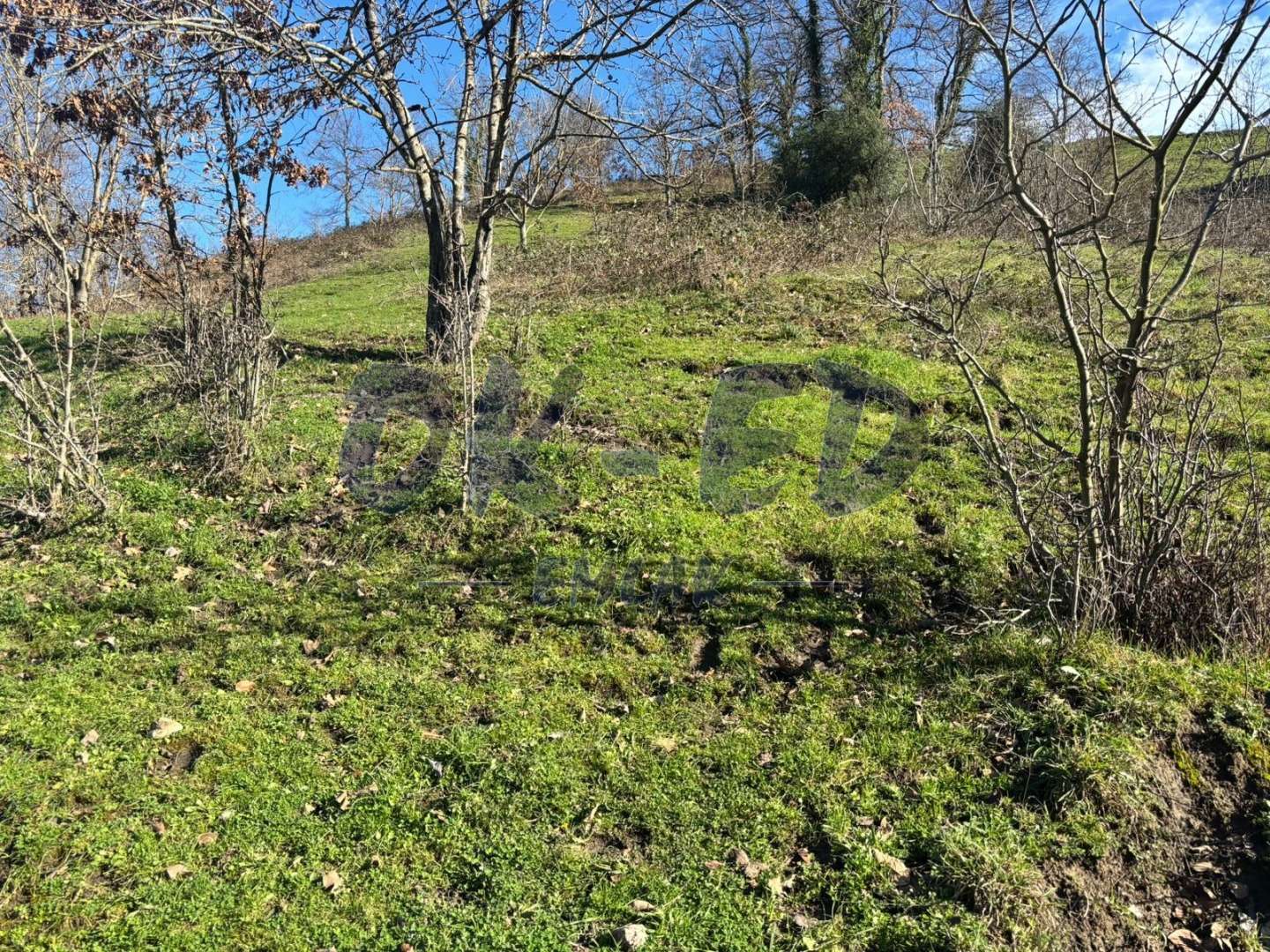 DÜZPELİT KÖYÜNDE SATILIK ARSA