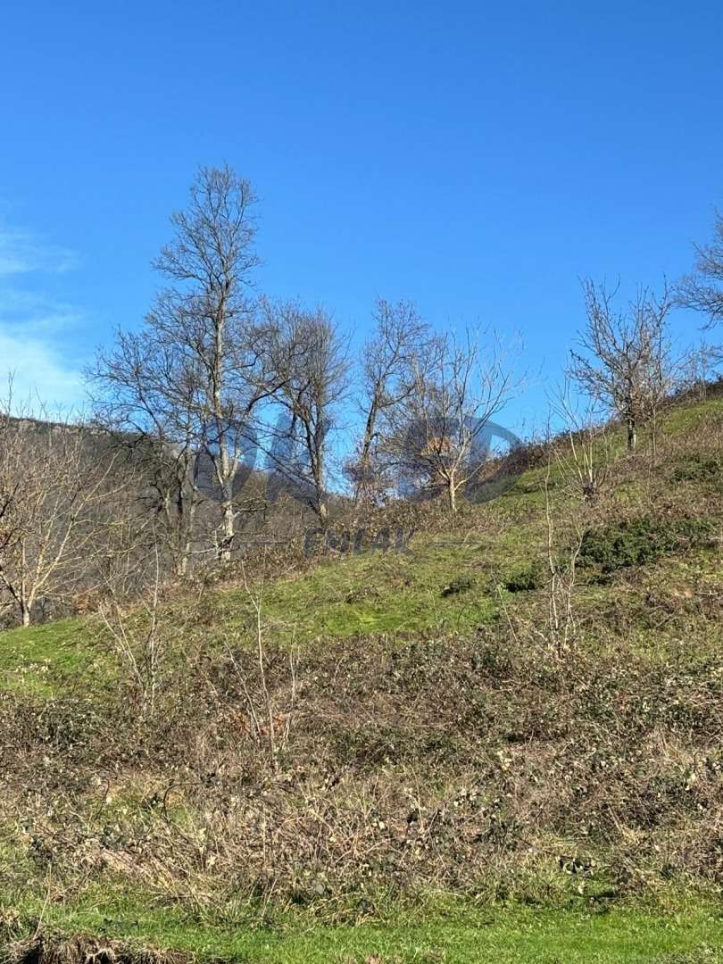 DÜZPELİT KÖYÜNDE SATILIK ARSA