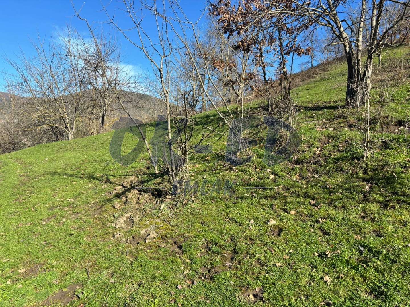 DÜZPELİT KÖYÜNDE SATILIK ARSA