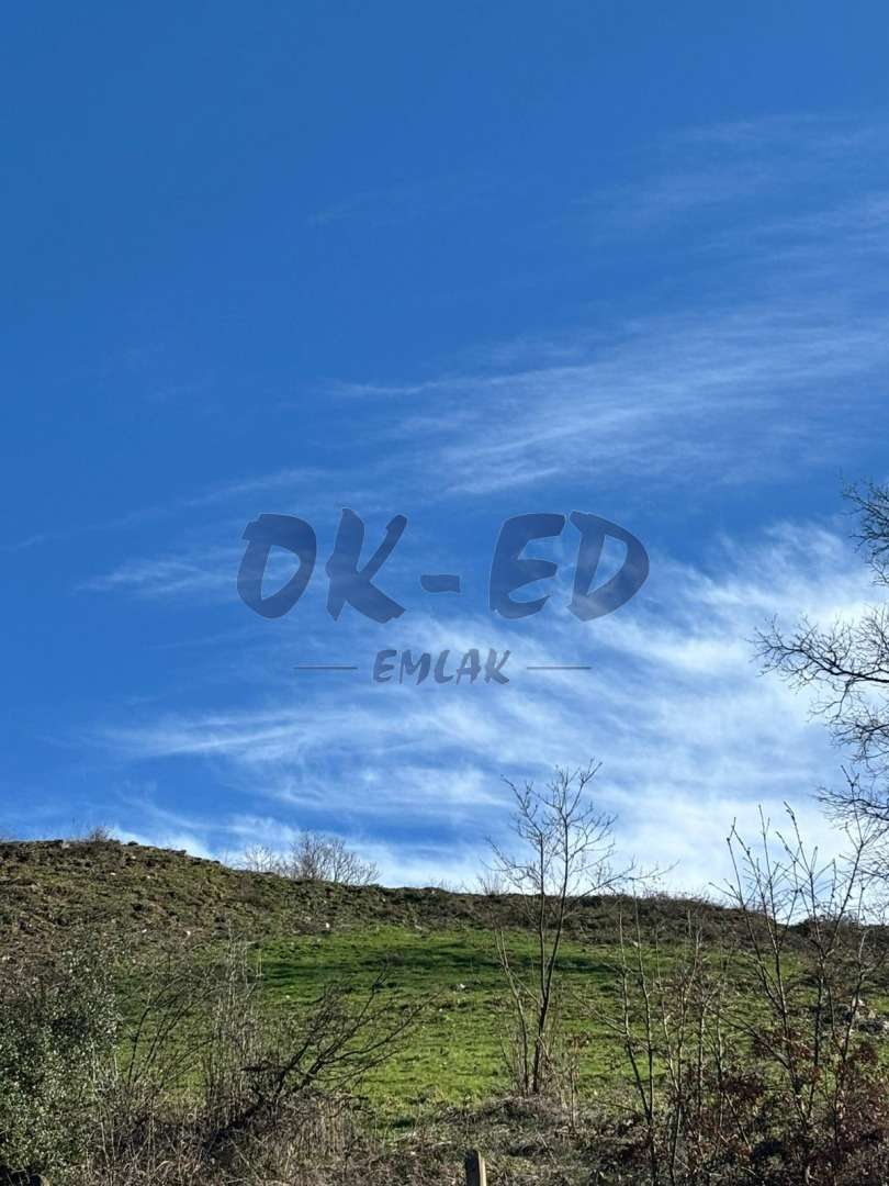 DÜZPELİT KÖYÜNDE SATILIK ARSA