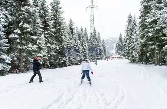 Kastamonu Ilgaz Mountain Resort Hotel Satılık Devremülk