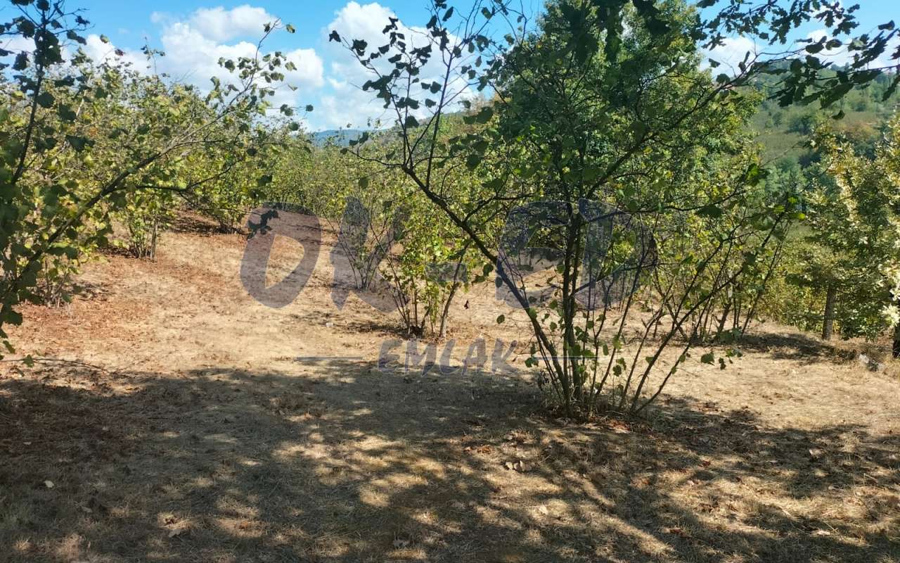 KDZ EREĞLİ ORTACI KÖYÜNDE SATILIK ARSA