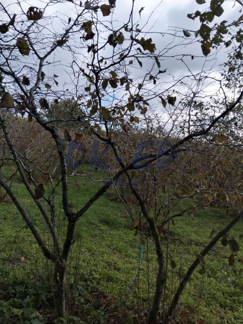 KORUBAŞI MEVKİİNDE SATILIK ARSA