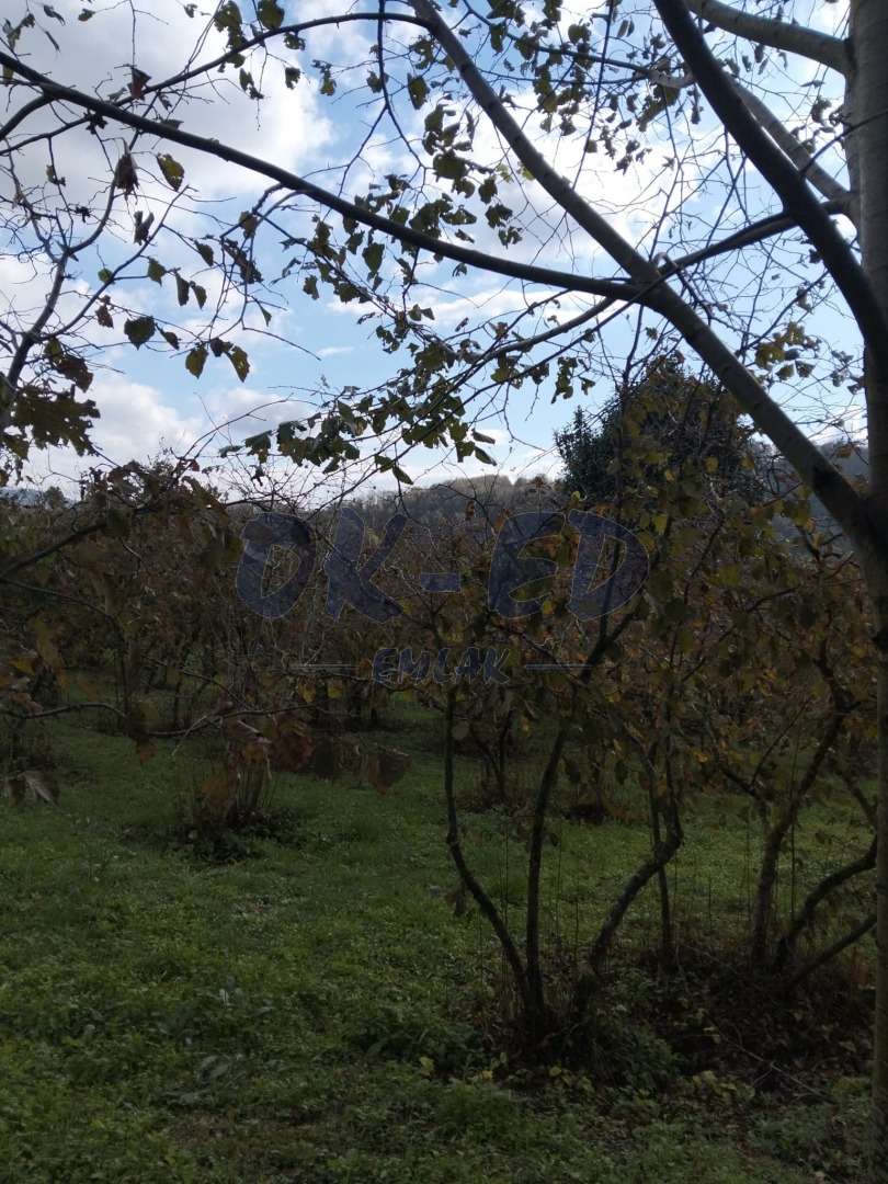 KORUBAŞI MEVKİİNDE SATILIK ARSA