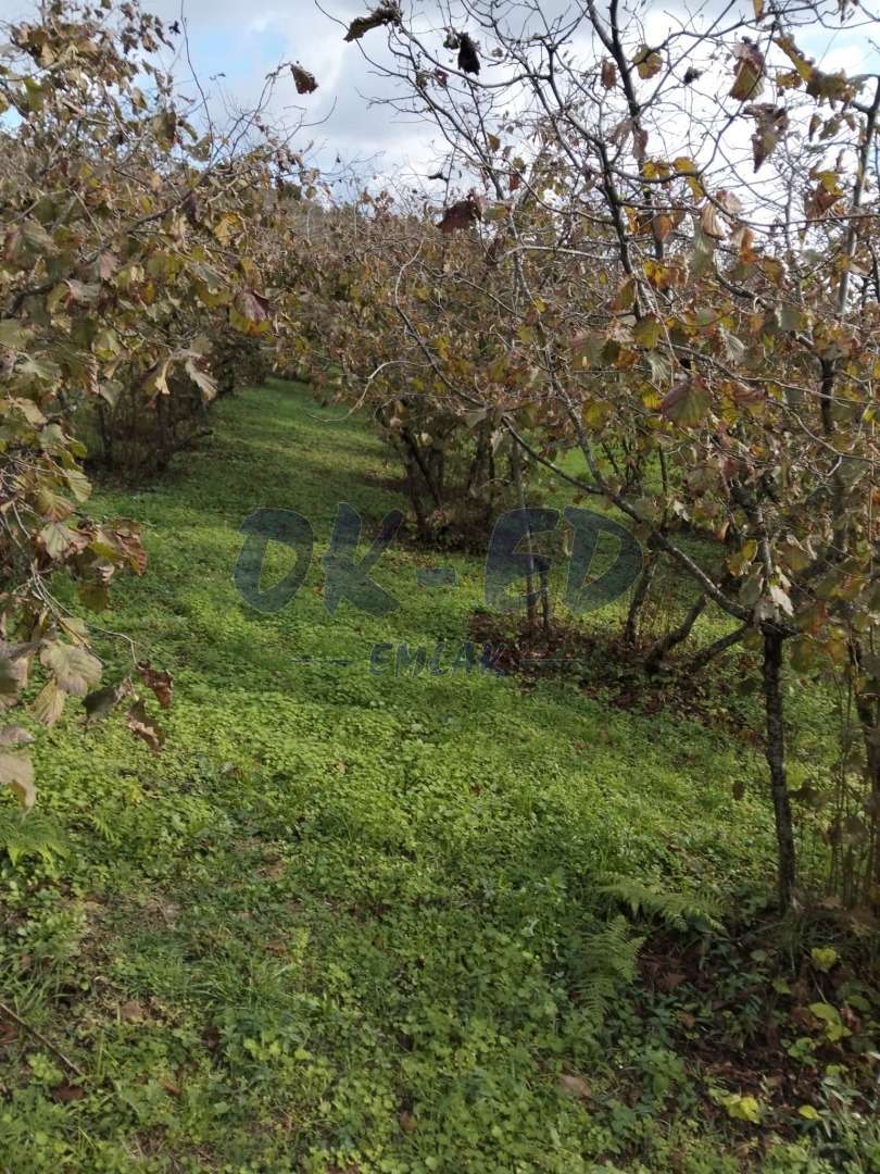 KORUBAŞI MEVKİİNDE SATILIK ARSA