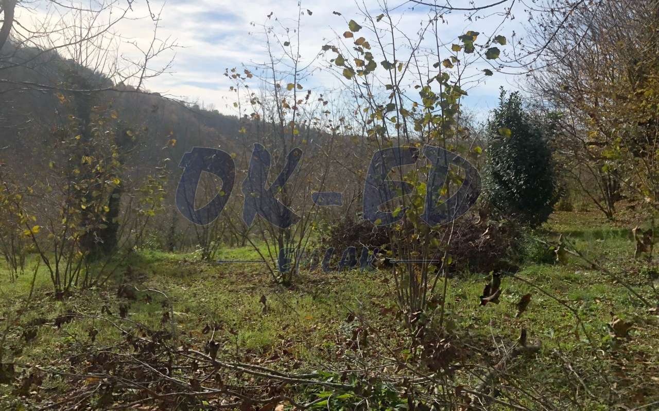 KORUBAŞINDA SATILIK ARSA