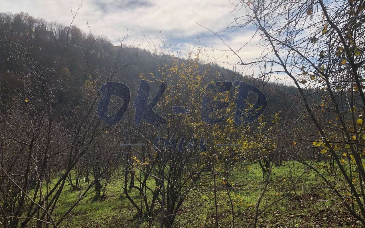 KORUBAŞINDA SATILIK ARSA
