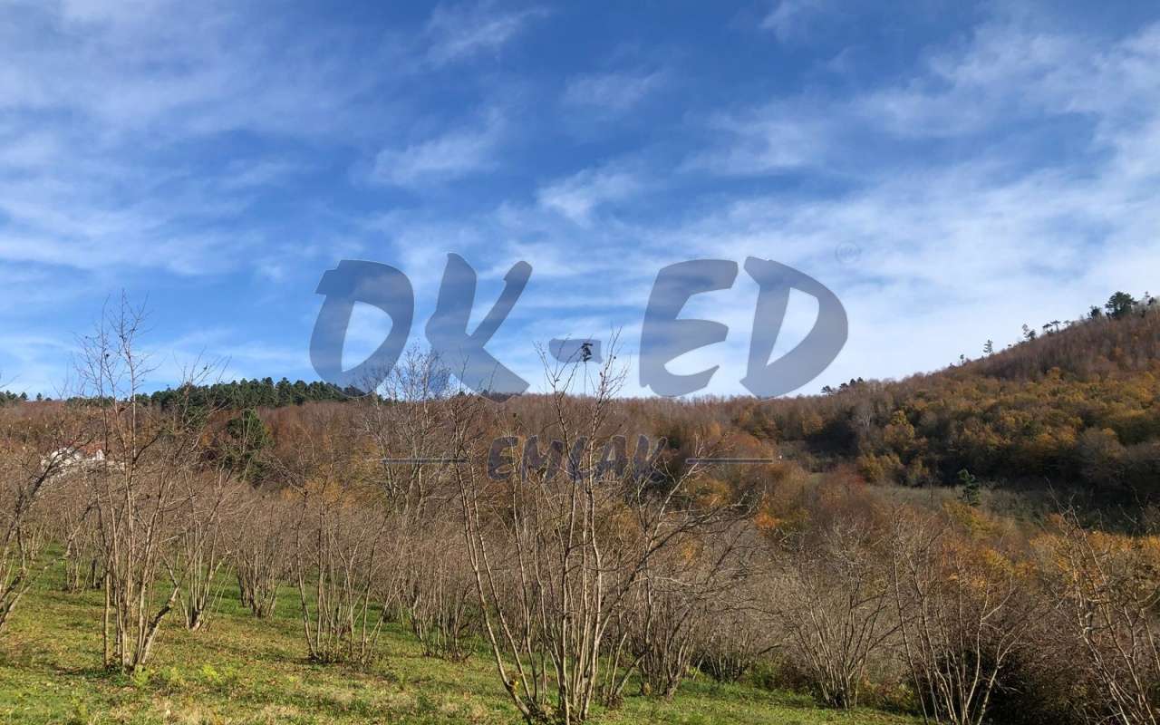 ÖMERLİ KÖYÜNDE SATILIK ARSA