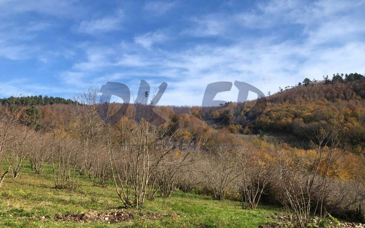 ÖMERLİ KÖYÜNDE SATILIK ARSA