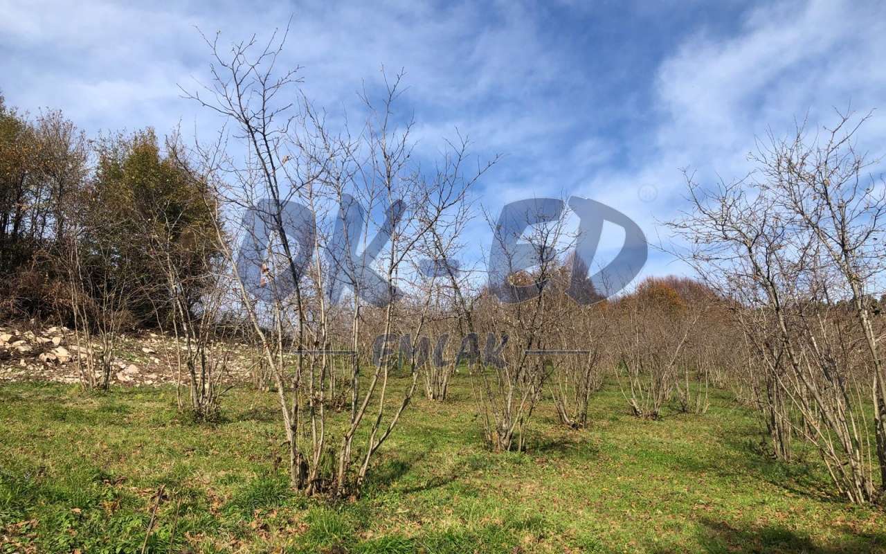 ÖMERLİ KÖYÜNDE SATILIK ARSA
