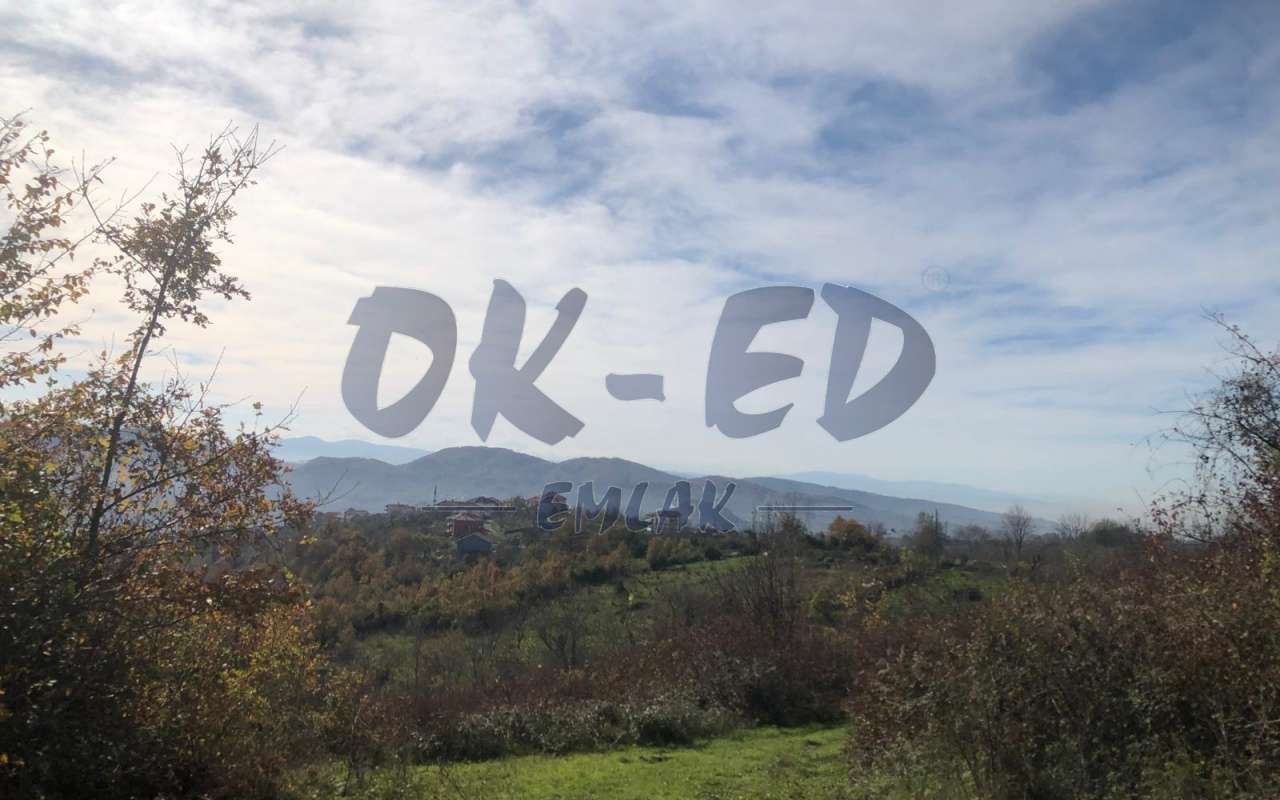 ÖMERLİ KÖYÜNDE SATILIK ARSA