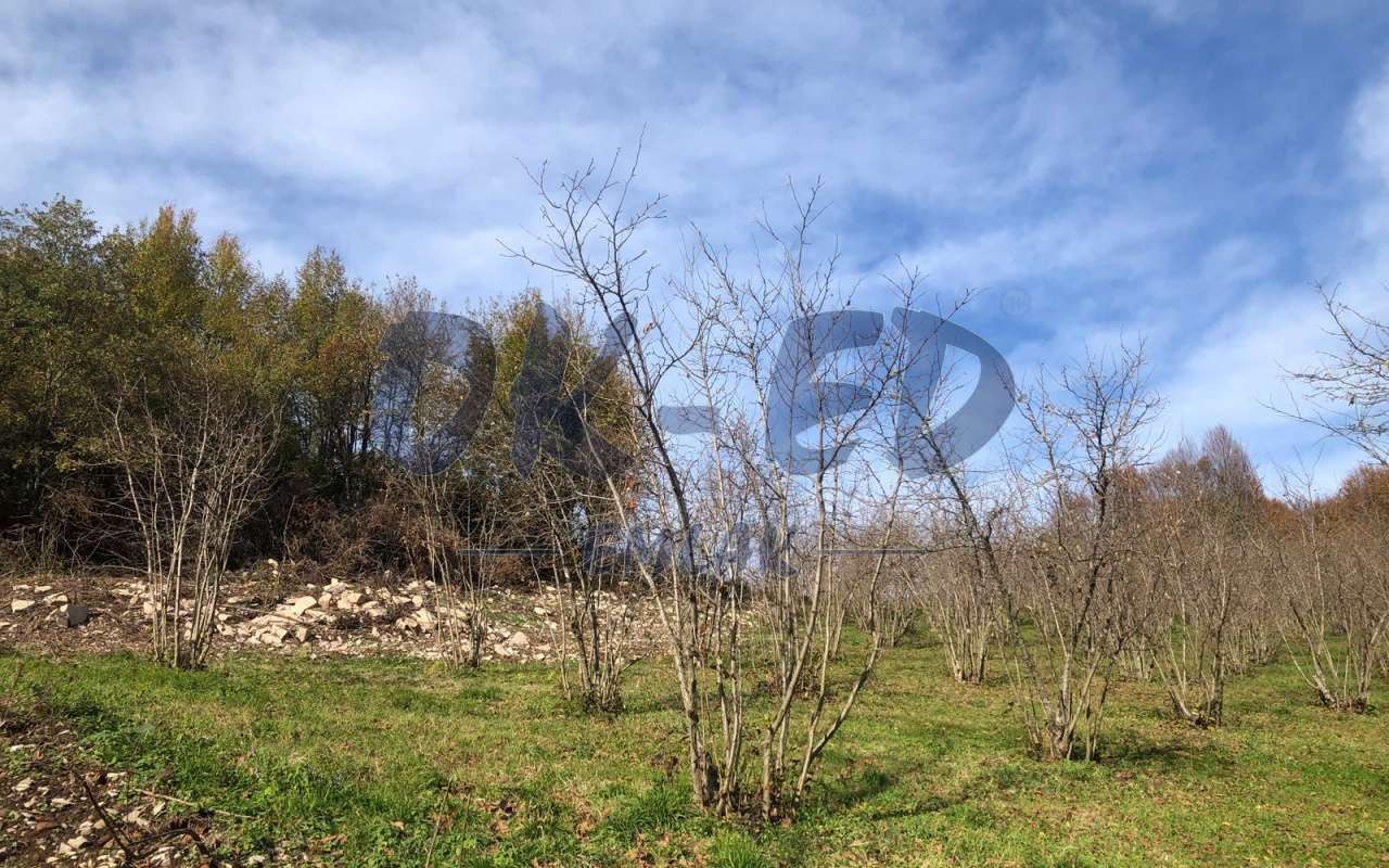 ÖMERLİ KÖYÜNDE SATILIK ARSA