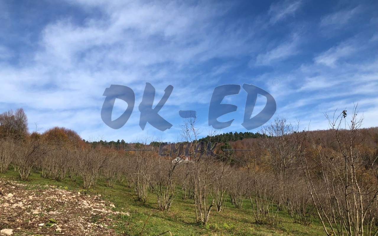 ÖMERLİ KÖYÜNDE SATILIK ARSA
