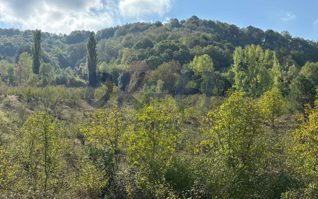 ORTACI KÖYÜNDE SATILIK ARSA