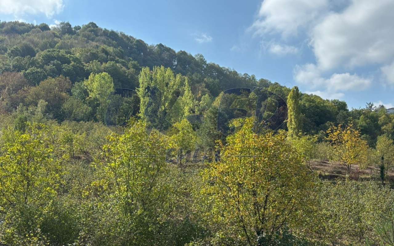 ORTACI KÖYÜNDE SATILIK ARSA